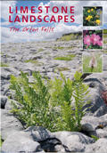 Limestone Landscapes, The Orton Fells brochure cover