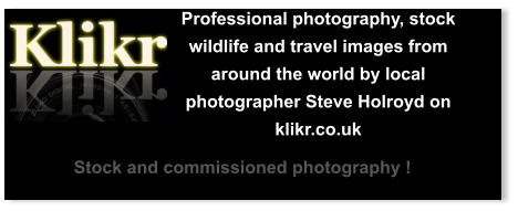 Professional photography, stock wildlife and travel images from around the world by local photographer Steve Holroyd on klikr.co.uk Stock and commissioned photography !